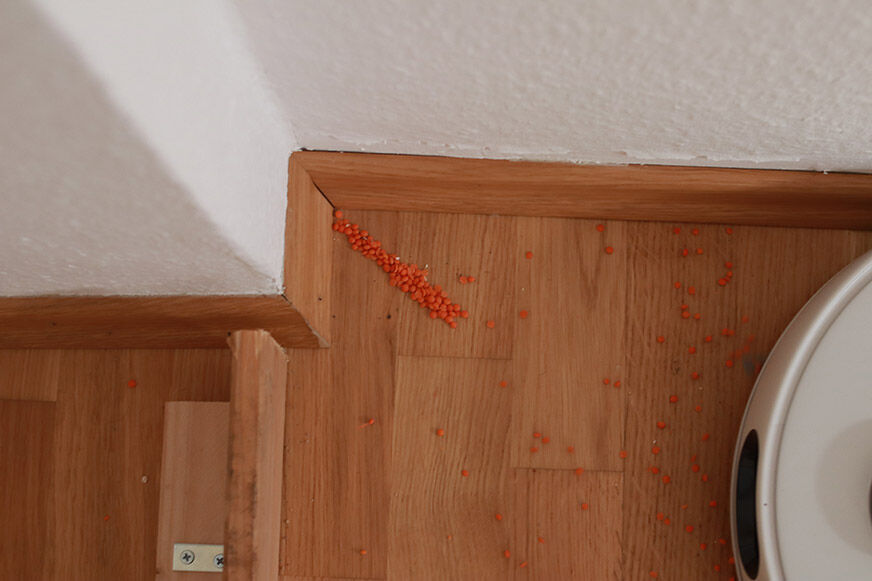 Philips HomeRun beim Reinigungstest in einer Ecke.